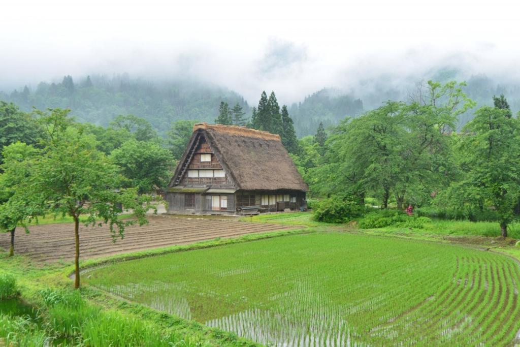 Shiroyamakan Shirakawa (Gifu) Exterior foto